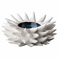 Sea hedgehog 18 cm -