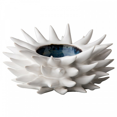 Sea hedgehog 18 cm -